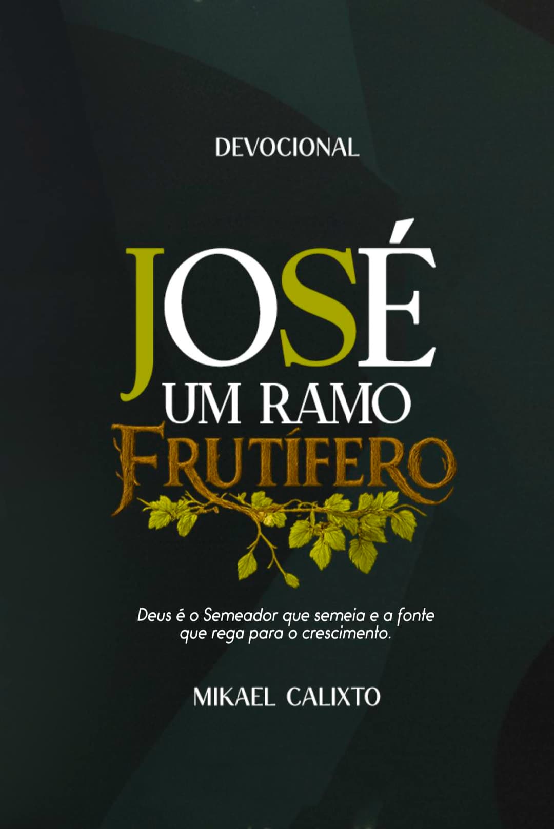 Capa do livro José, um Ramo Frutífero